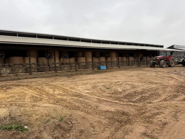 $2,100,000 | N5271 Madden Road, New London, WI 54961