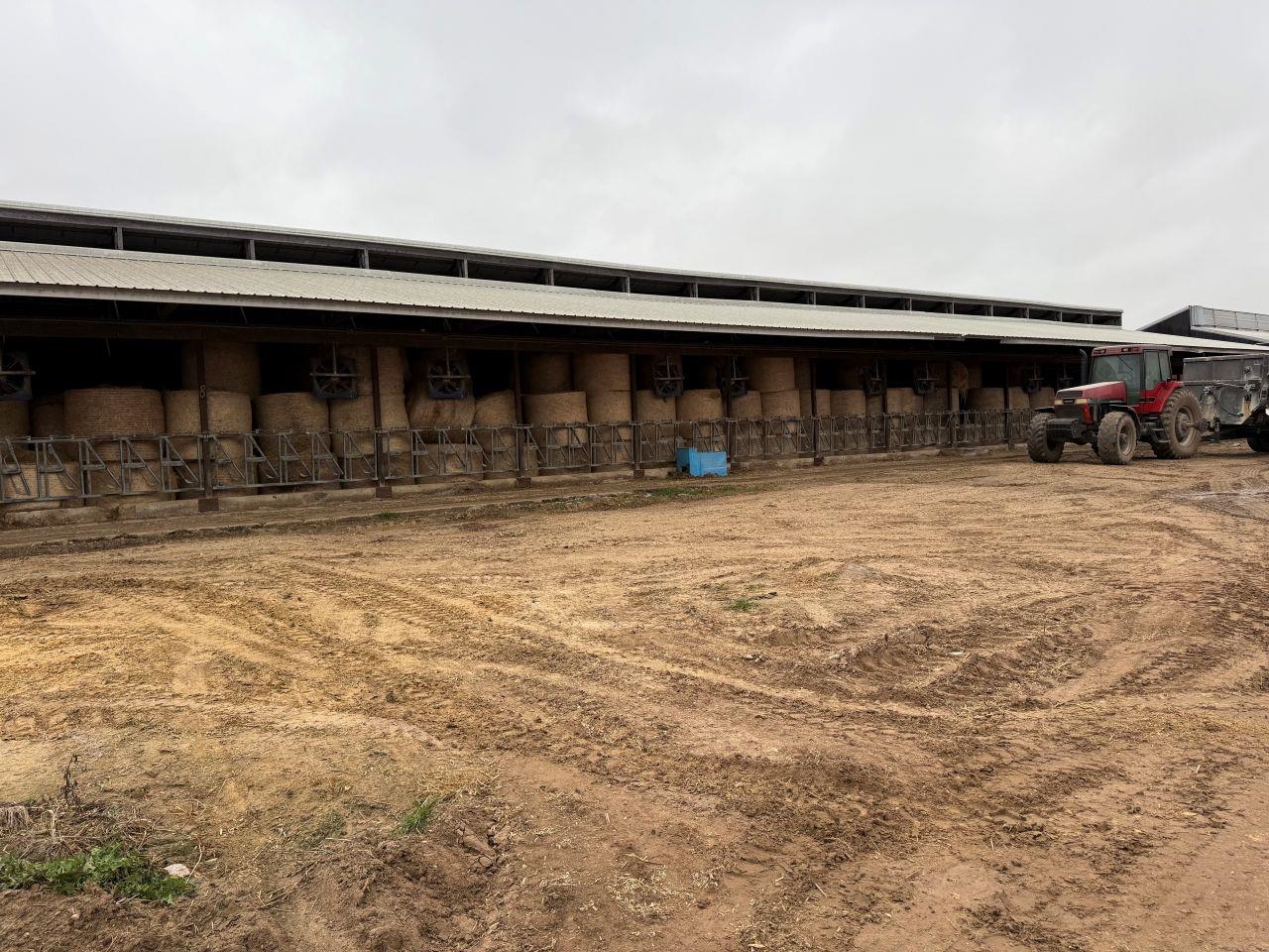 N5271 Madden Road New London, WI 54961 - Photo 72 of 90