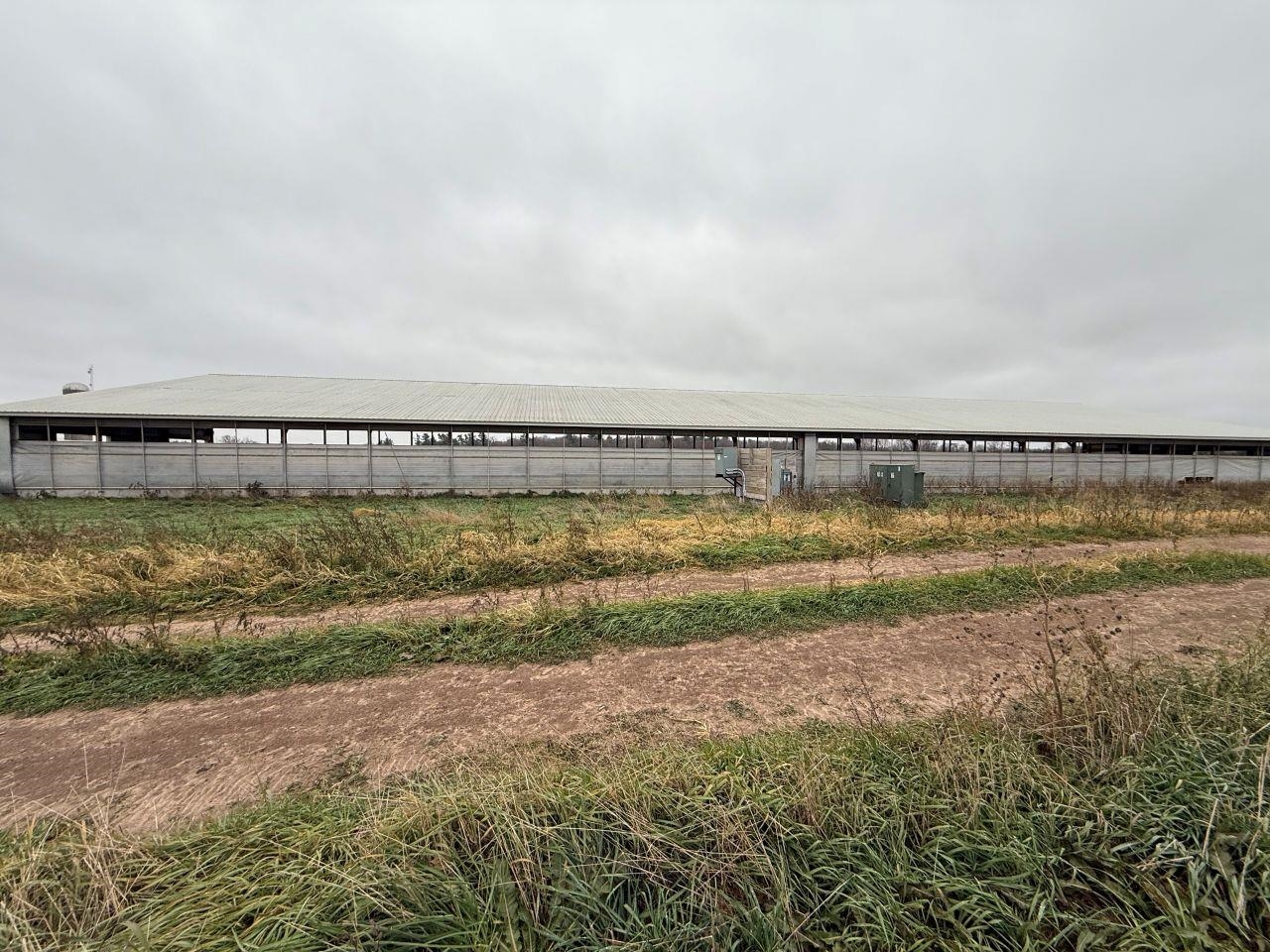 N5271 Madden Road New London, WI 54961 - Photo 81 of 90