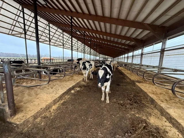 $2,100,000 | N5271 Madden Road, New London, WI 54961