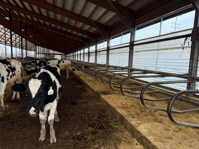 $2,100,000 | N5271 Madden Road, New London, WI 54961