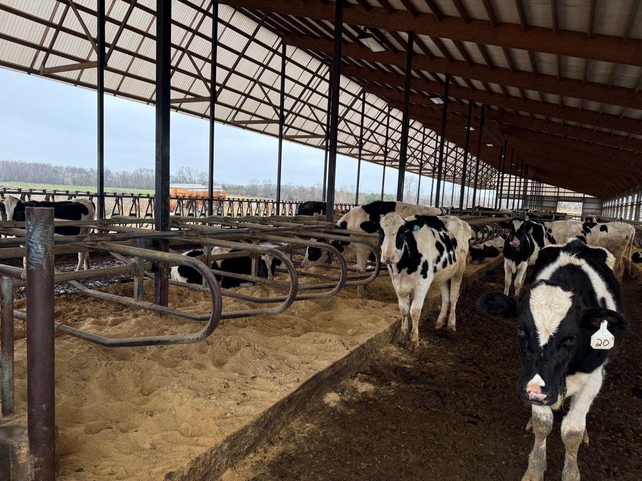 N5271 Madden Road New London, WI 54961 - Photo 84 of 90