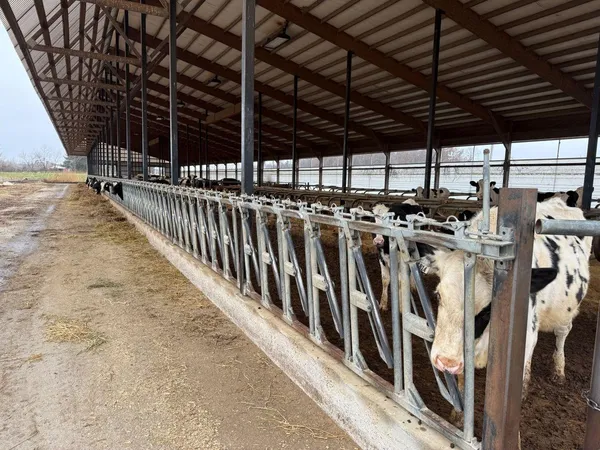 $2,100,000 | N5271 Madden Road, New London, WI 54961