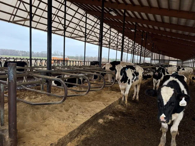 $2,100,000 | N5271 Madden Road, New London, WI 54961