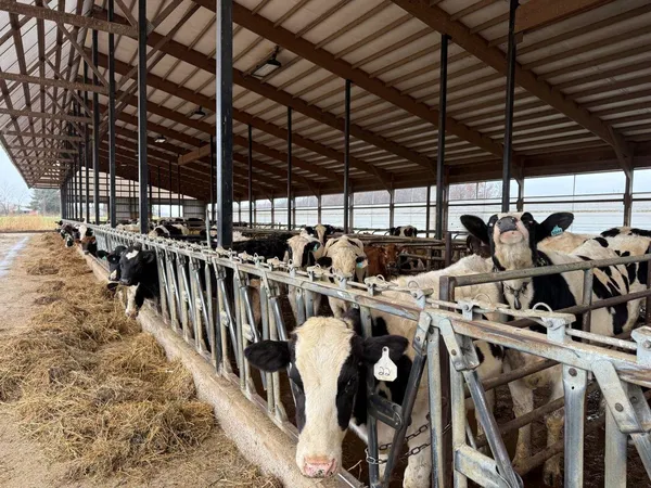 $2,100,000 | N5271 Madden Road, New London, WI 54961