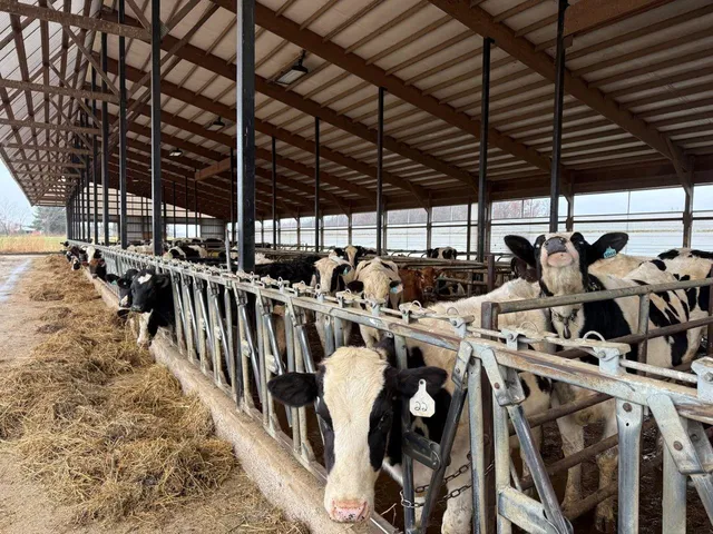 $2,100,000 | N5271 Madden Road, New London, WI 54961