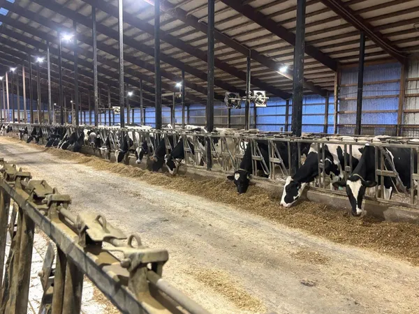 $2,100,000 | N5271 Madden Road, New London, WI 54961