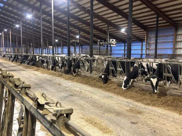 $2,100,000 | N5271 Madden Road, New London, WI 54961