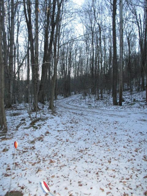 655 Fairmont Road Starrucca, PA 18462 - Photo 26 of 28 Gallery Image 26