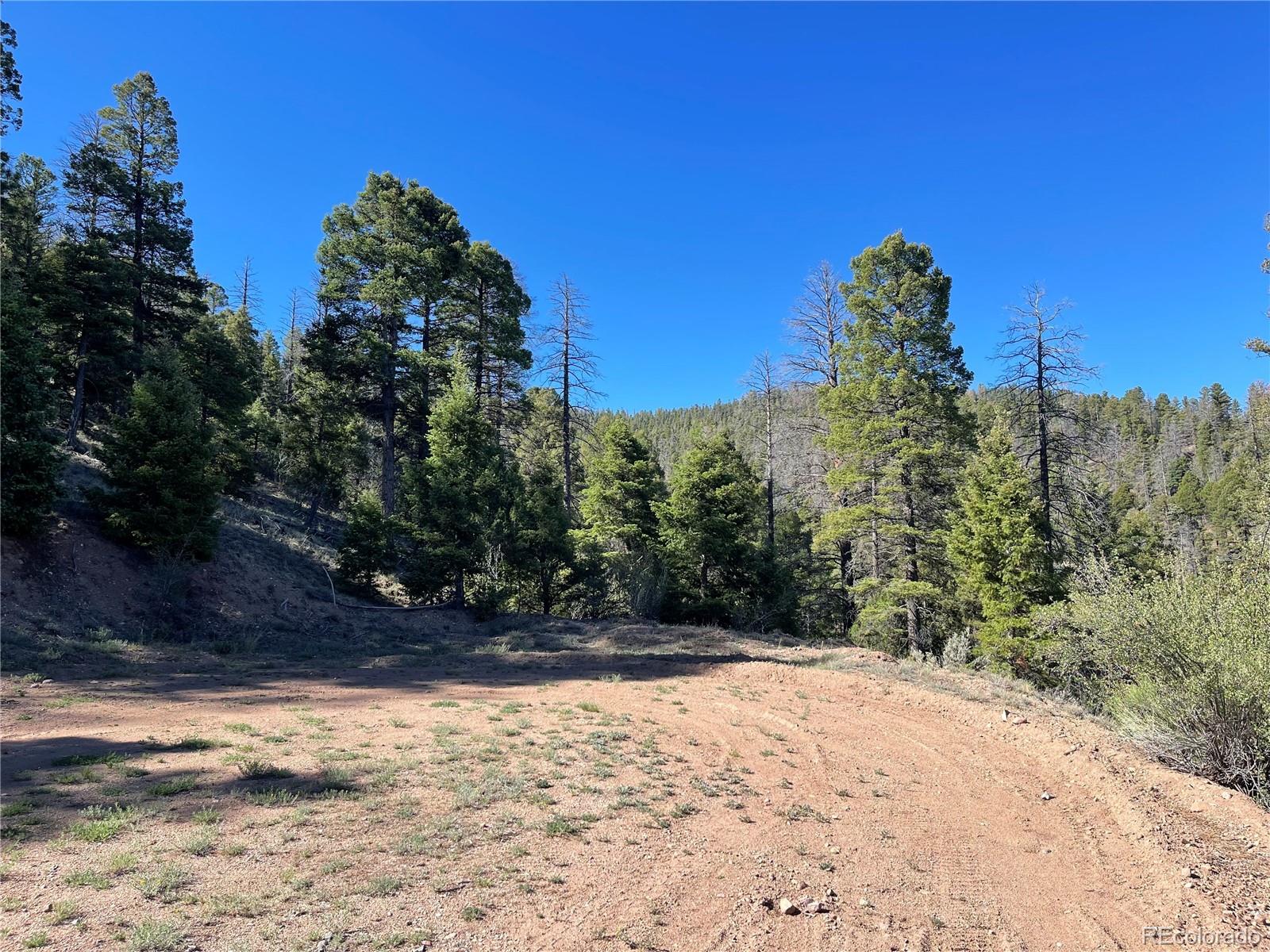6168 Hoadley Road San Luis, CO 81152 - Photo 4 of 18