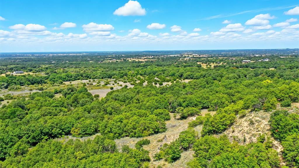 395 Pepper Lane Weatherford, TX 76088 - Photo 11 of 24 Bird's eye view of a heavily wooded area