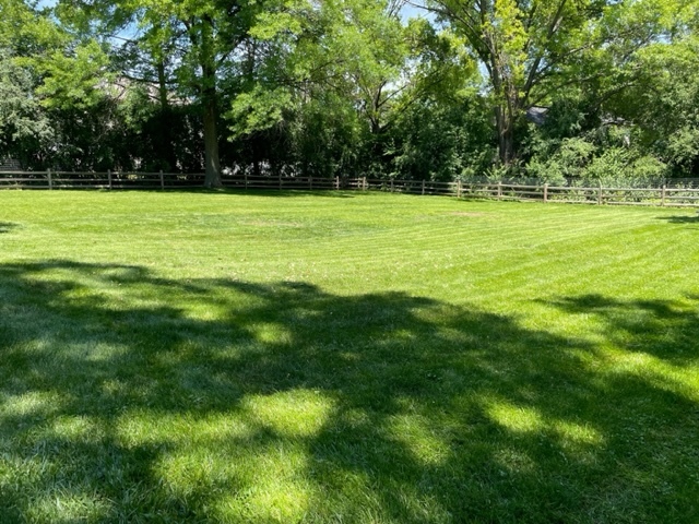 2920 Quentin Road Rolling Meadows, IL 60008 - Photo 24 of 30