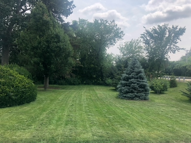 2920 Quentin Road Rolling Meadows, IL 60008 - Photo 25 of 30 a view of a green yard