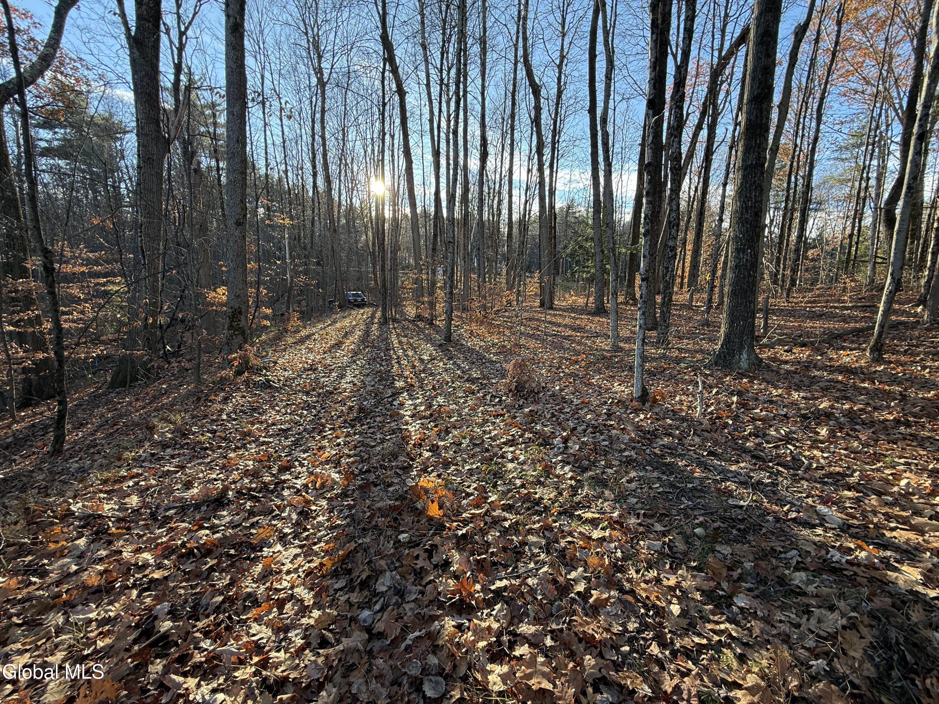 L7 Greenfield Road Wilton, NY 12831 - Photo 5 of 12 L7.Wilton. Wood.Flat1