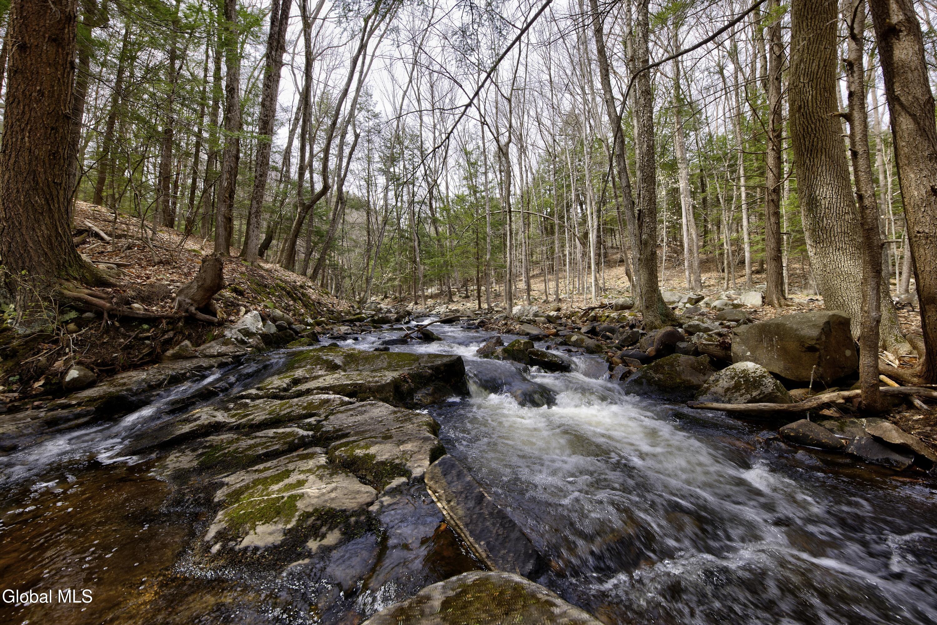 L7 Greenfield Road Wilton, NY 12831 - Photo 7 of 12 L7.Wilton.Ravine1