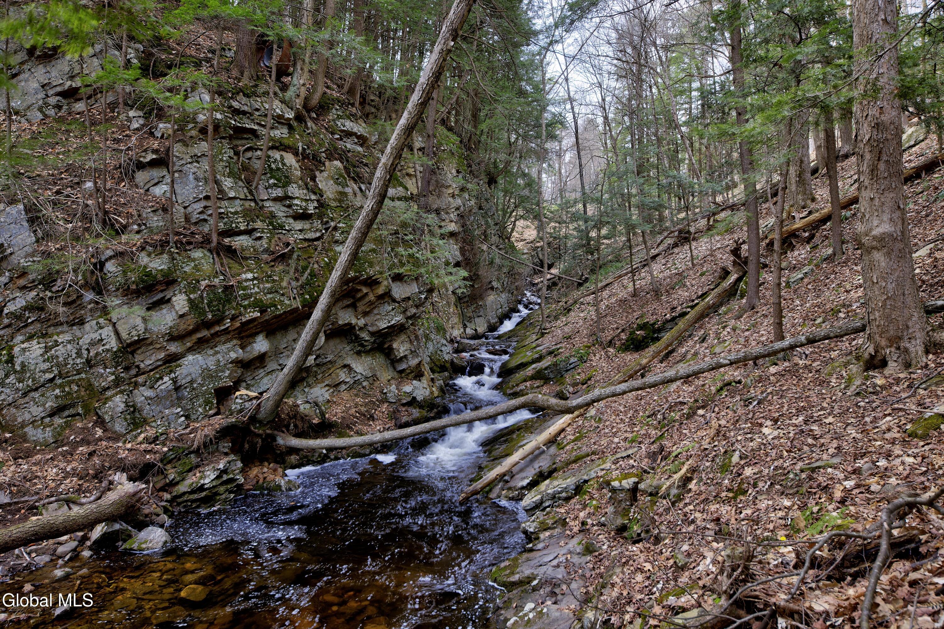 L7 Greenfield Road Wilton, NY 12831 - Photo 8 of 12 L7.Wilton.Ravine2