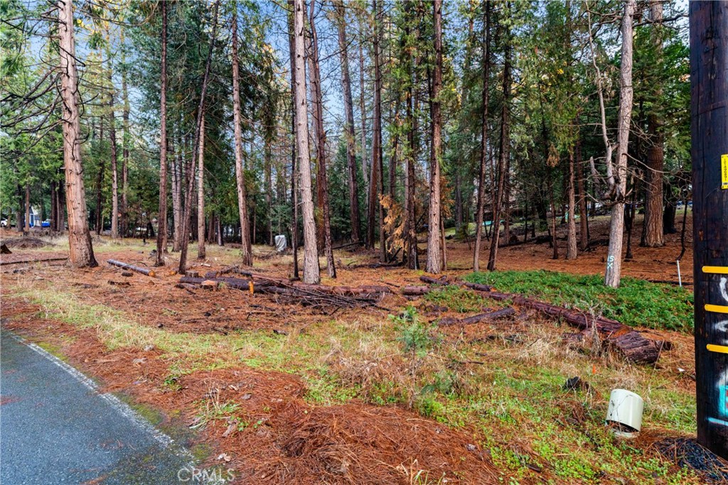a view of a park with tree s