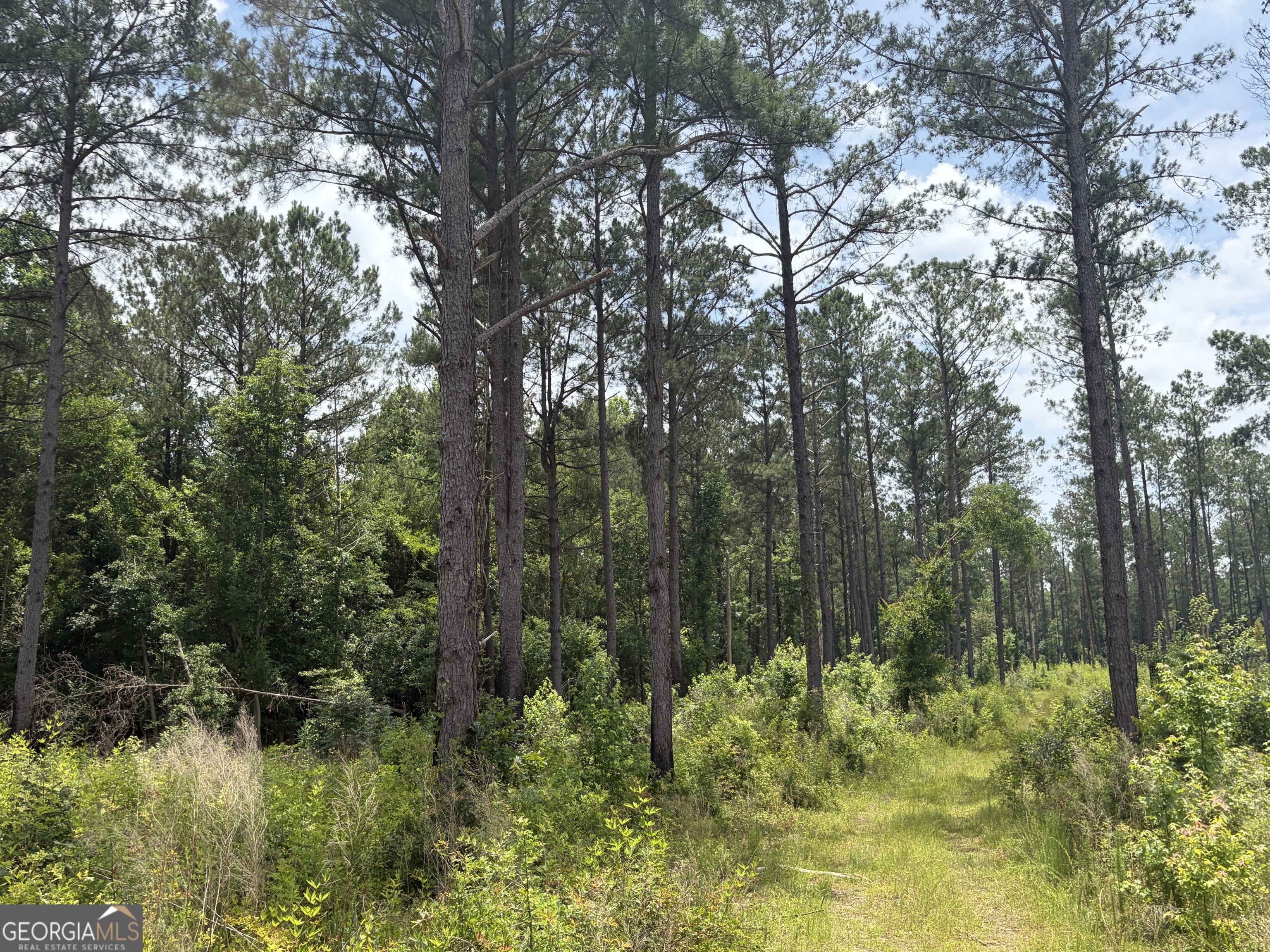 9 Sunhill Grange Road Sandersville, GA 31018 - Photo 5 of 12