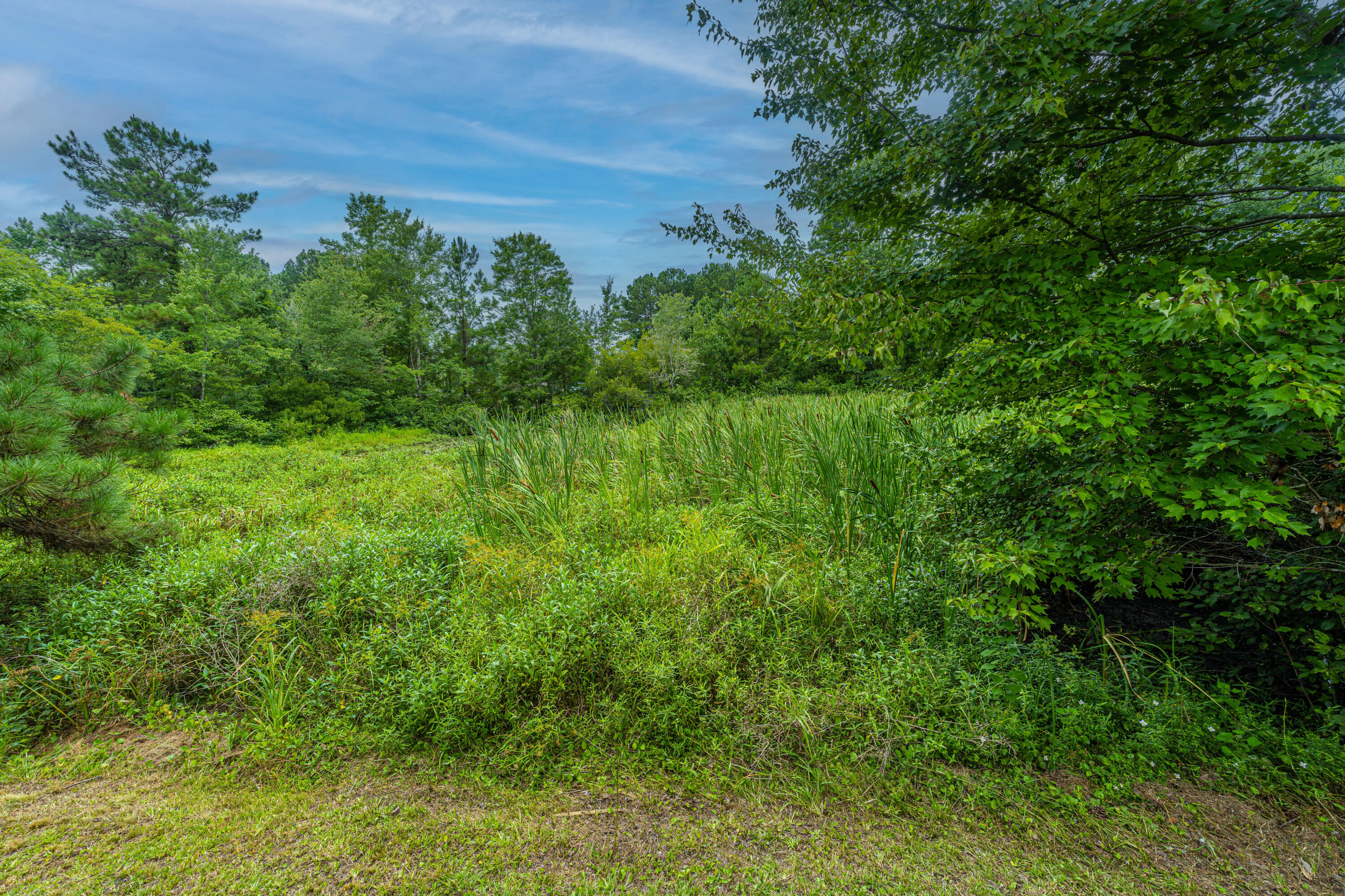 114 C Mountain Pine Road Moncks Corner, SC 29461 - Photo 33 of 33 114C_MountainPineRd37