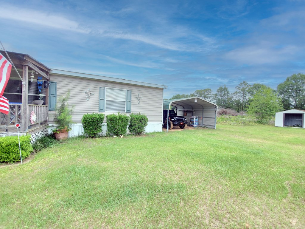 222 Harper Road Coleman, GA 39836 - Photo 3 of 20