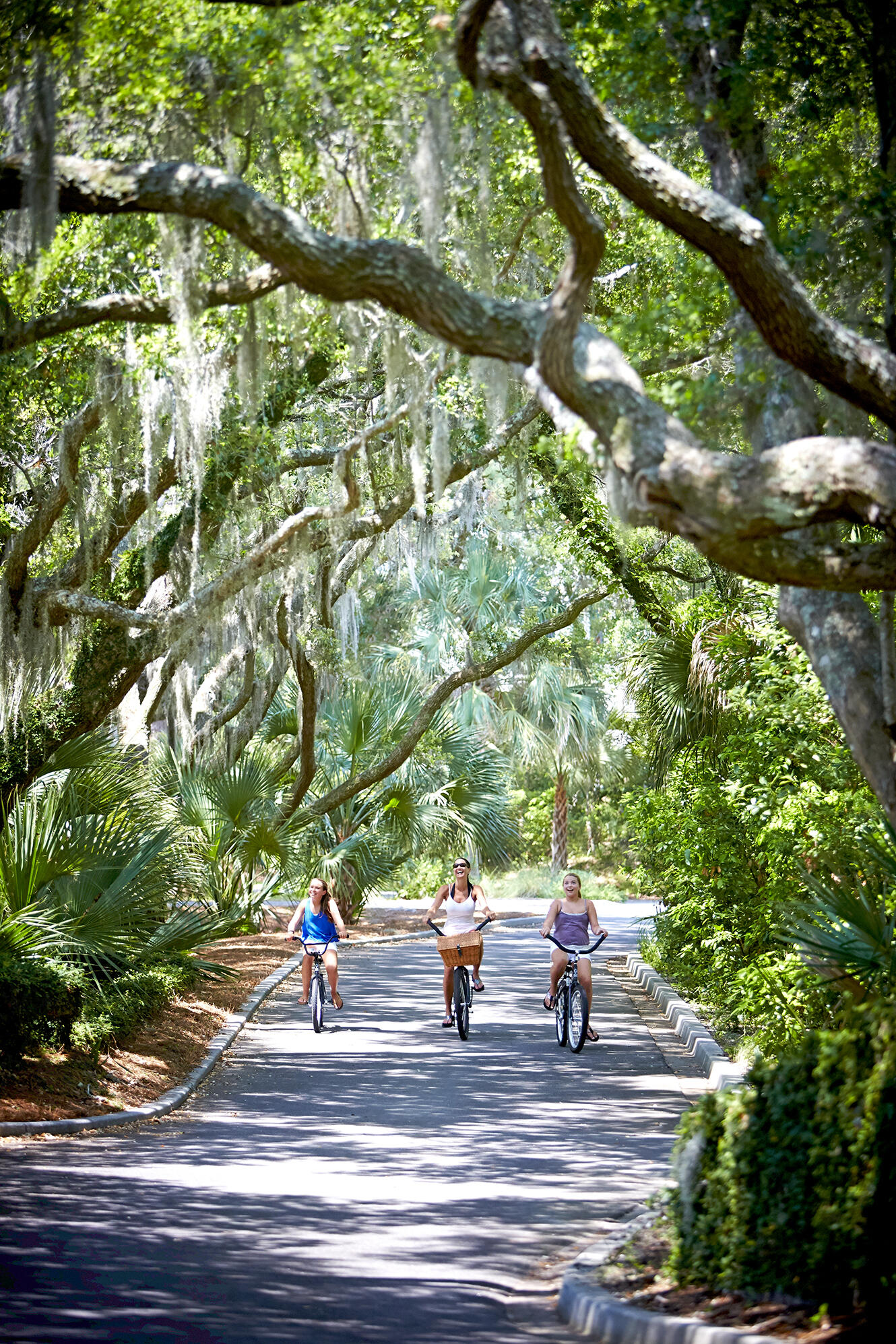 2596 Jenkins Point Road Seabrook Island, SC 29455 - Photo 40 of 45 Other 9