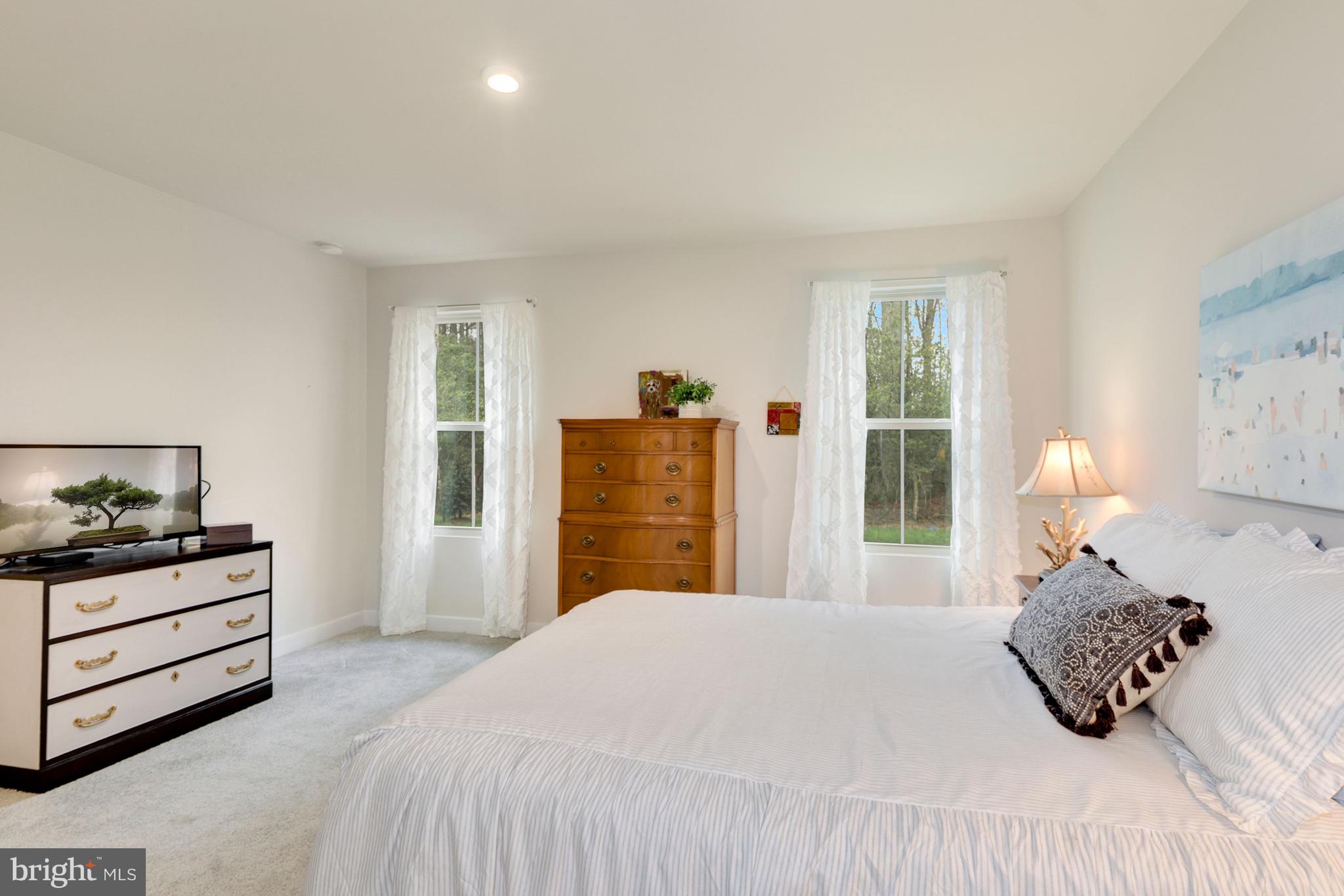 26215 Vintage Circle Milton, DE 19968 - Photo 16 of 26 Primary Bedroom