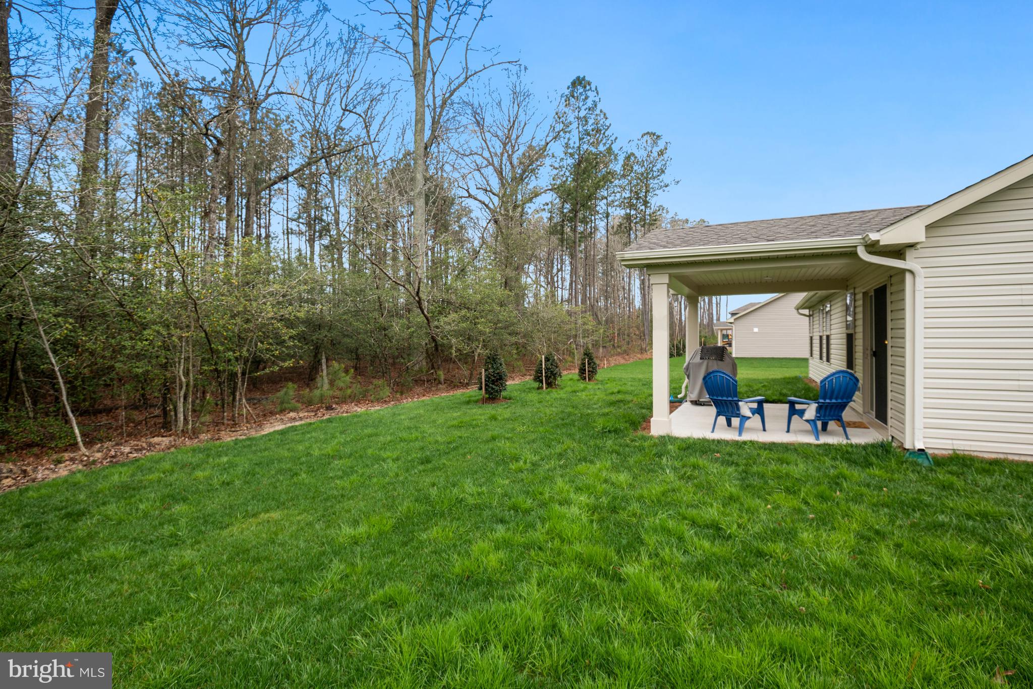 26215 Vintage Circle Milton, DE 19968 - Photo 25 of 26 Rear Exterior