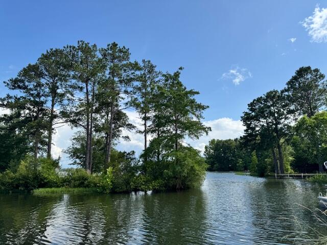1129 Levi Street Manning, SC 29102 - Photo 7 of 32 IMG_8843
