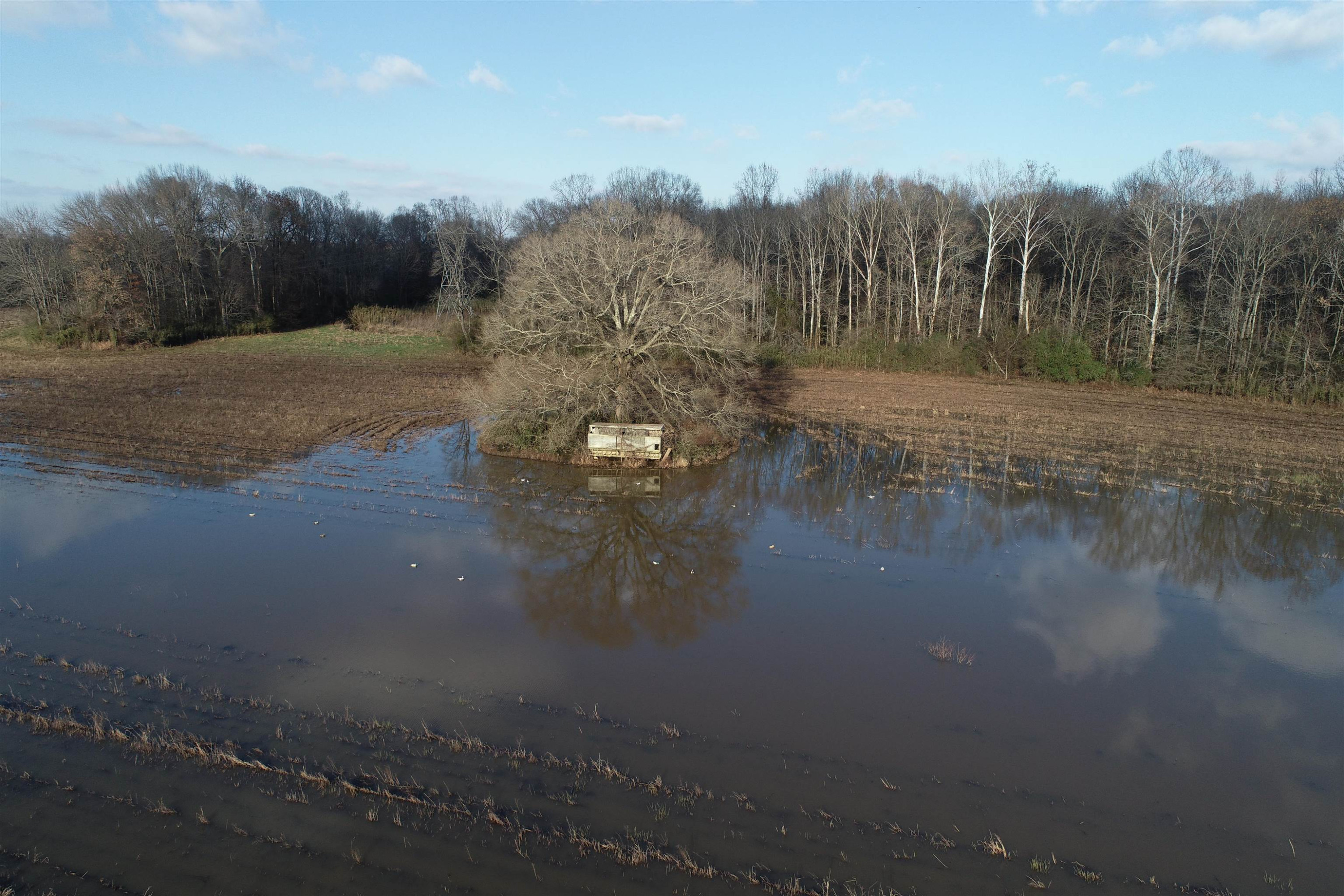 0 Perry Switch Road Jackson, TN 38301 - Photo 6 of 10 Photo 6