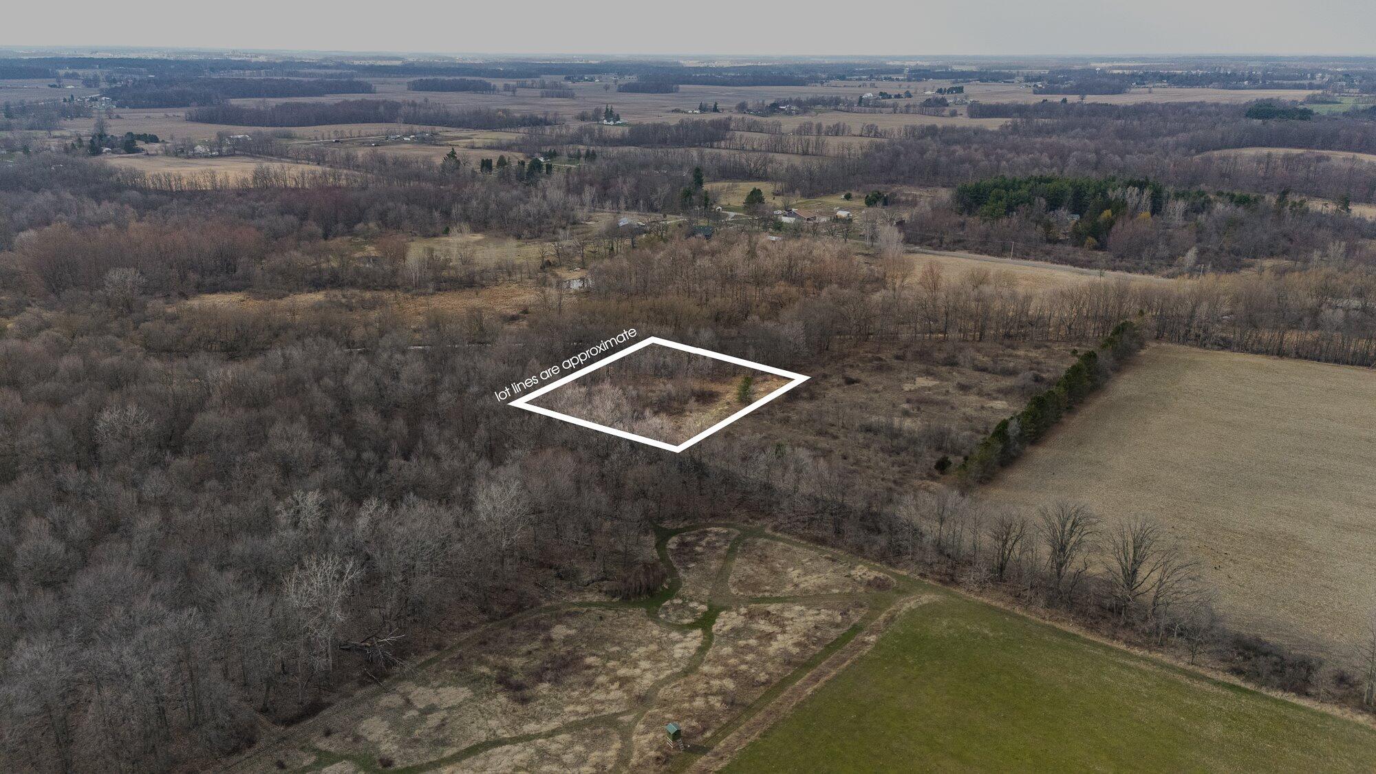 10700 Sunfield Road Mulliken, MI 48861 - Photo 124 of 152 44-WMNShaytownRdVL-1