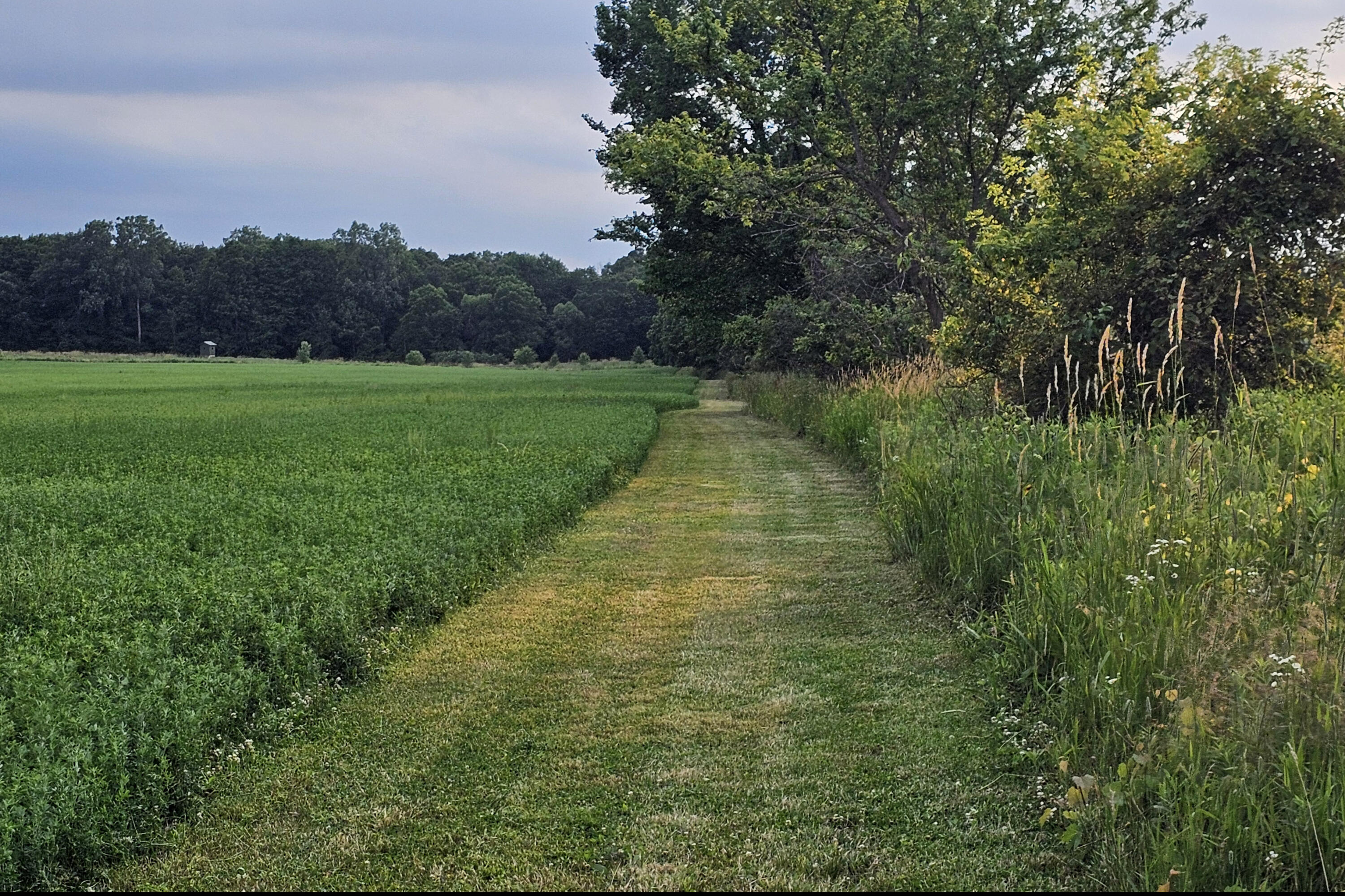 10700 Sunfield Road Mulliken, MI 48861 - Photo 140 of 152 20240625_201928