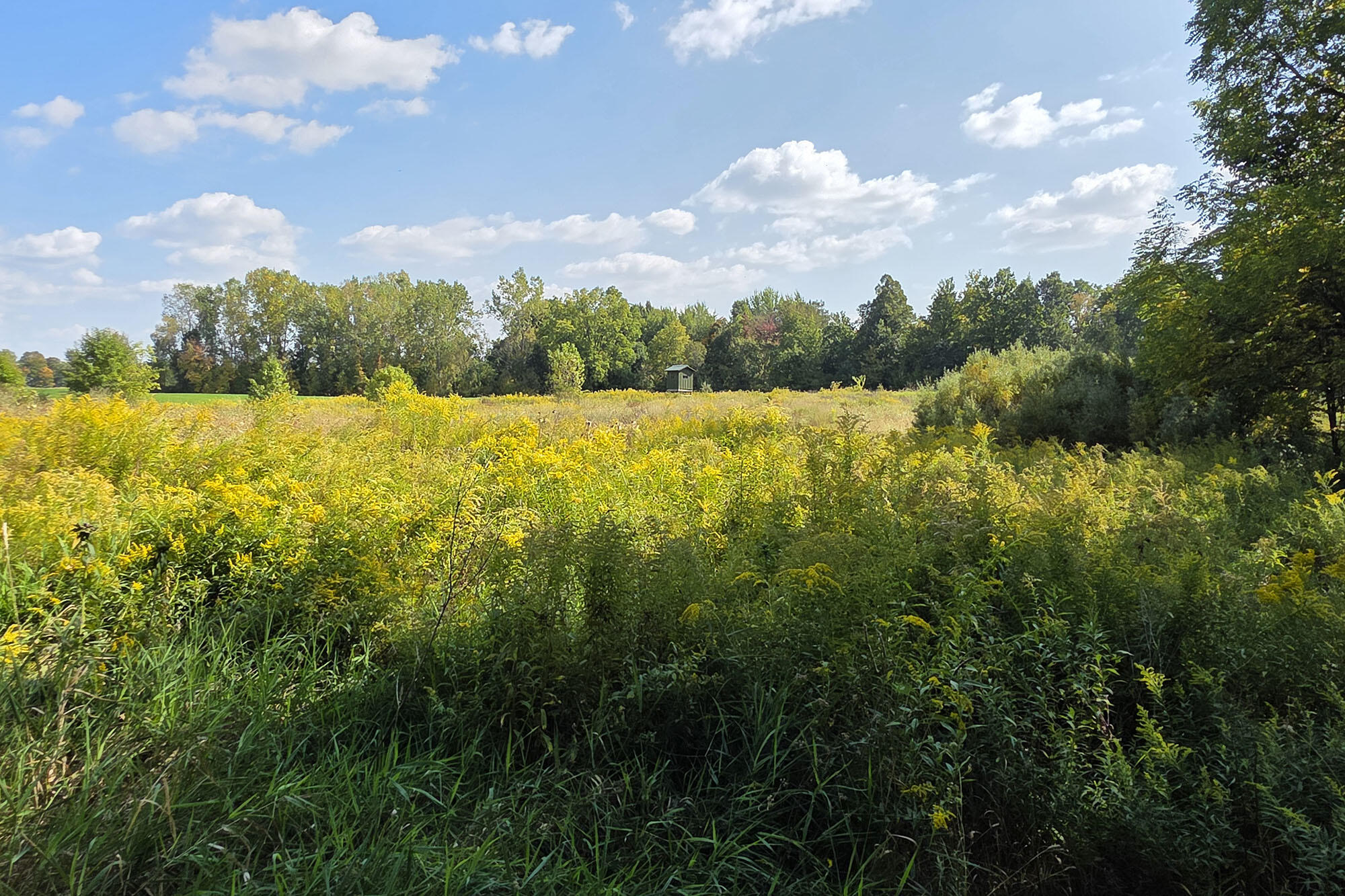 10700 Sunfield Road Mulliken, MI 48861 - Photo 143 of 152 20250918_153022