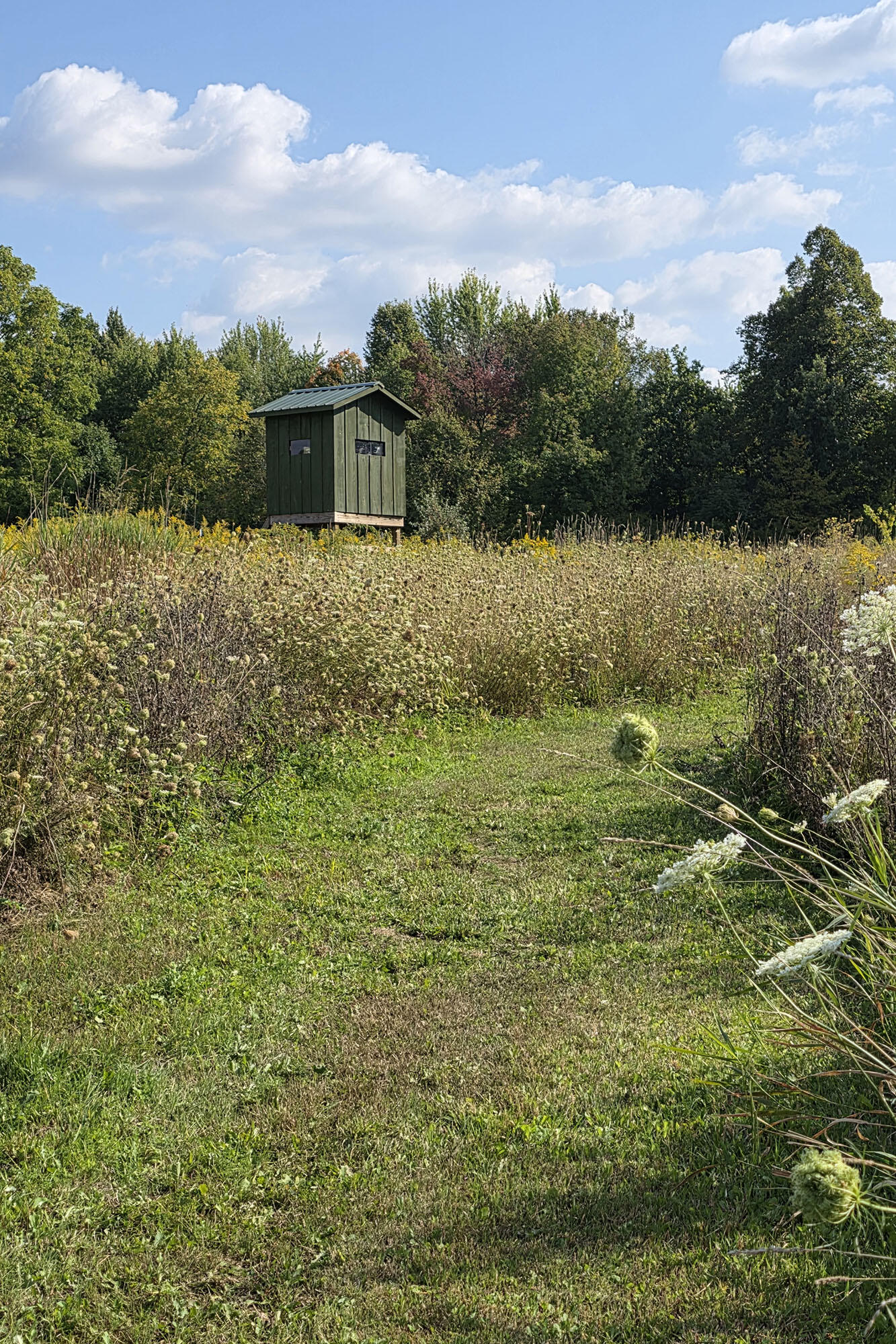 10700 Sunfield Road Mulliken, MI 48861 - Photo 145 of 152 20250918_160656