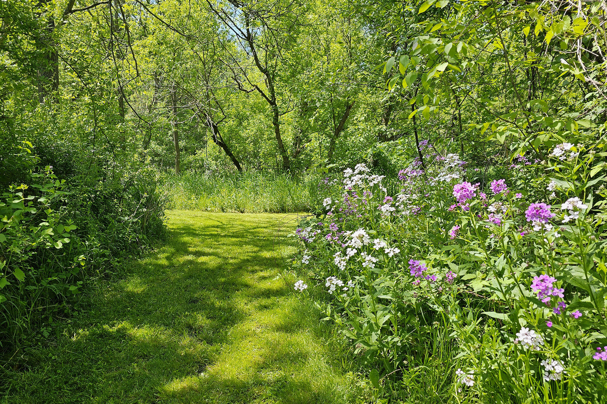 10700 Sunfield Road Mulliken, MI 48861 - Photo 150 of 152 20230525_144639