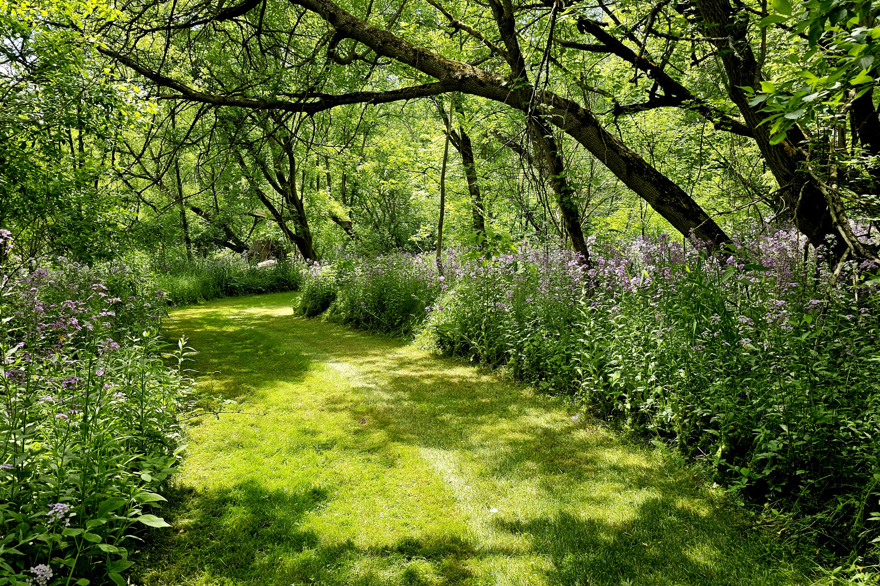 10700 Sunfield Road Mulliken, MI 48861 - Photo 151 of 152 20230530_135033