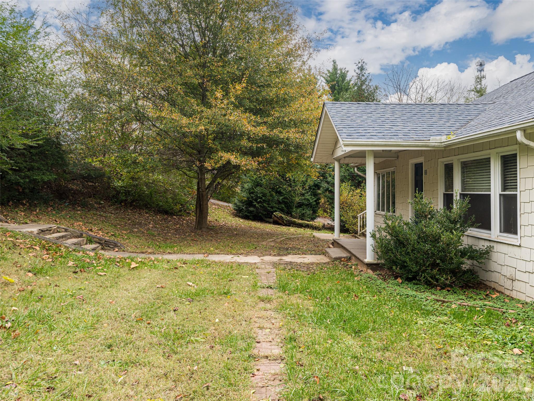 65 Banks Town Road Weaverville, NC 28787 - Photo 3 of 48