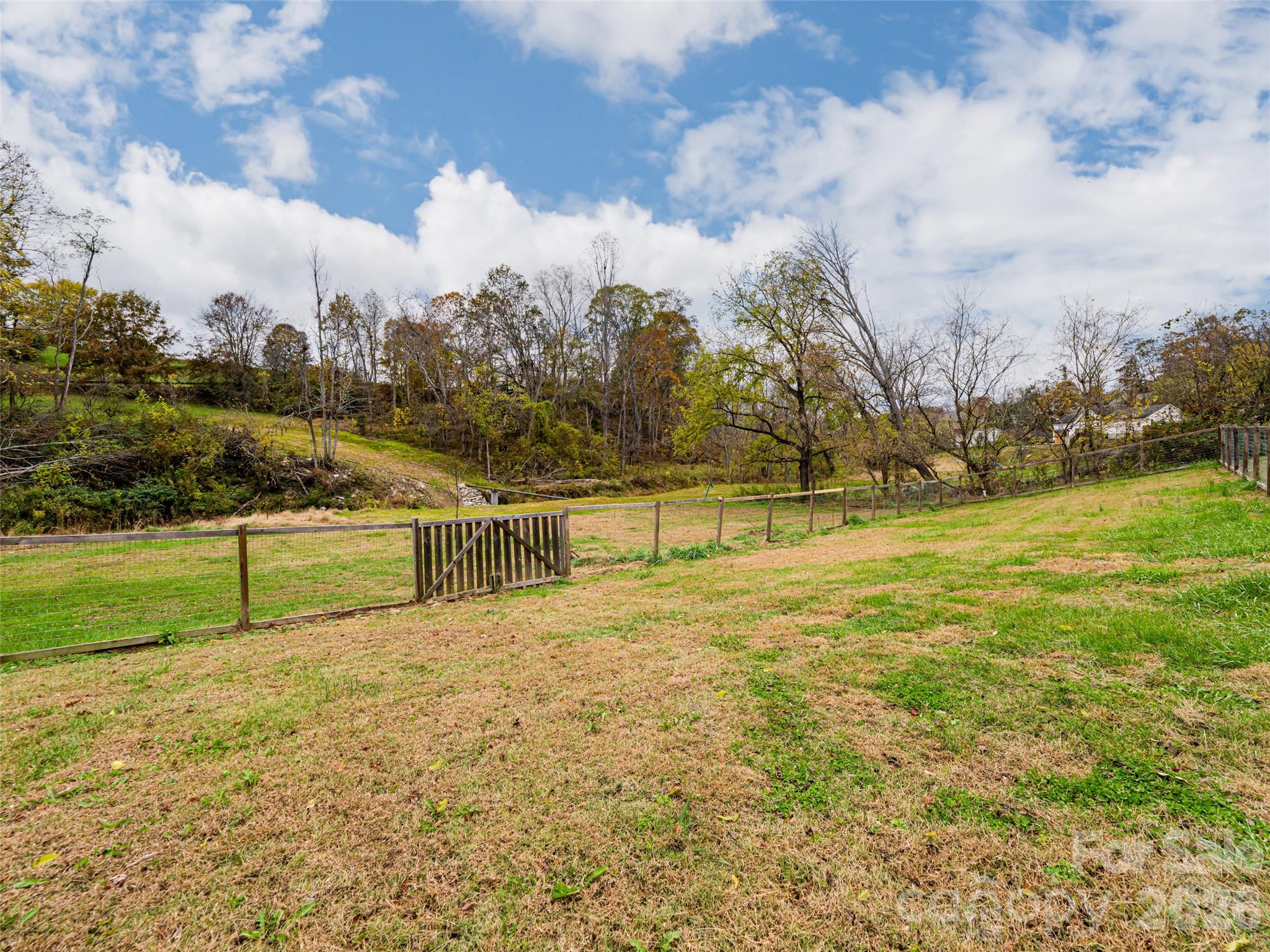 65 Banks Town Road Weaverville, NC 28787 - Photo 31 of 48