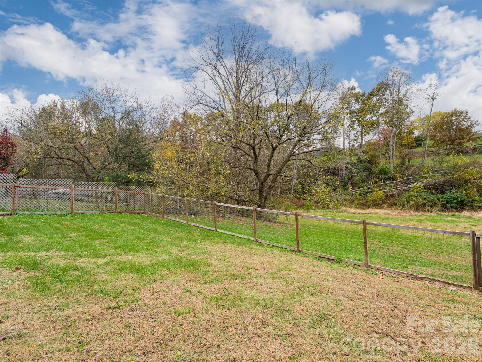 65 Banks Town Road Weaverville, NC 28787 - Photo 33 of 48