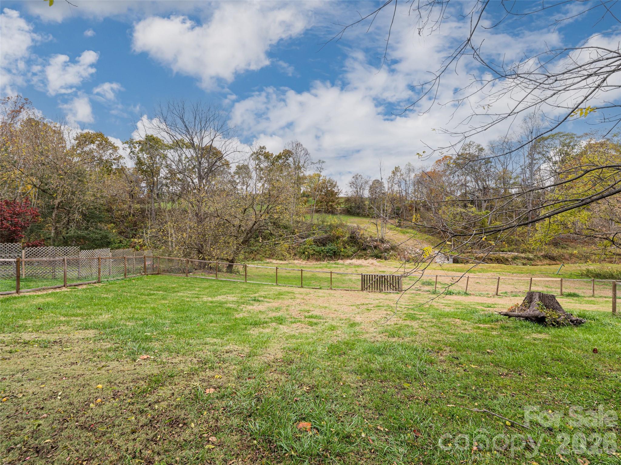 65 Banks Town Road Weaverville, NC 28787 - Photo 35 of 48