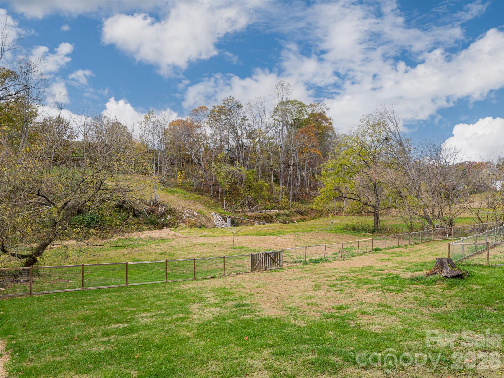 65 Banks Town Road Weaverville, NC 28787 - Photo 37 of 48