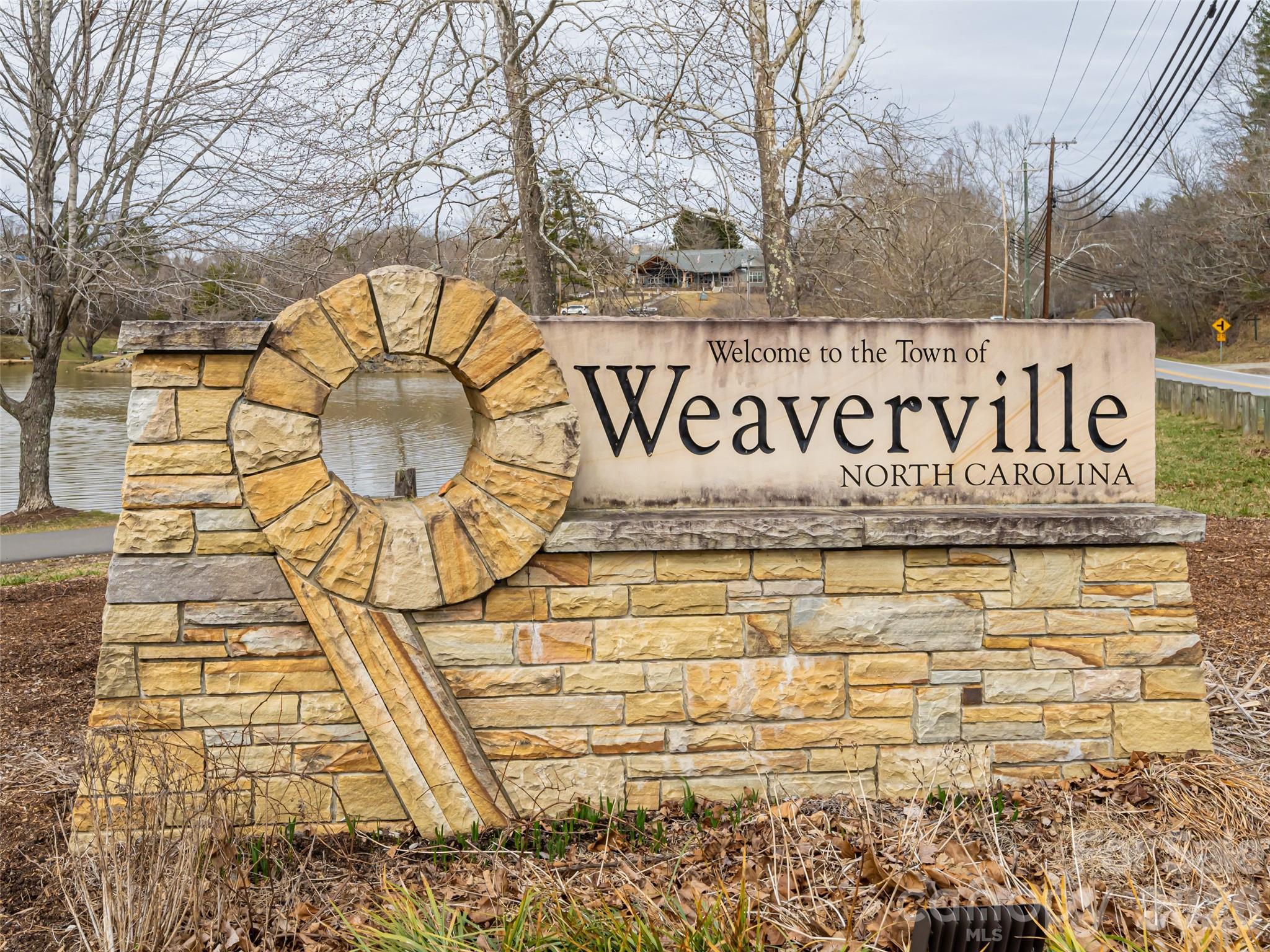 65 Banks Town Road Weaverville, NC 28787 - Photo 45 of 48