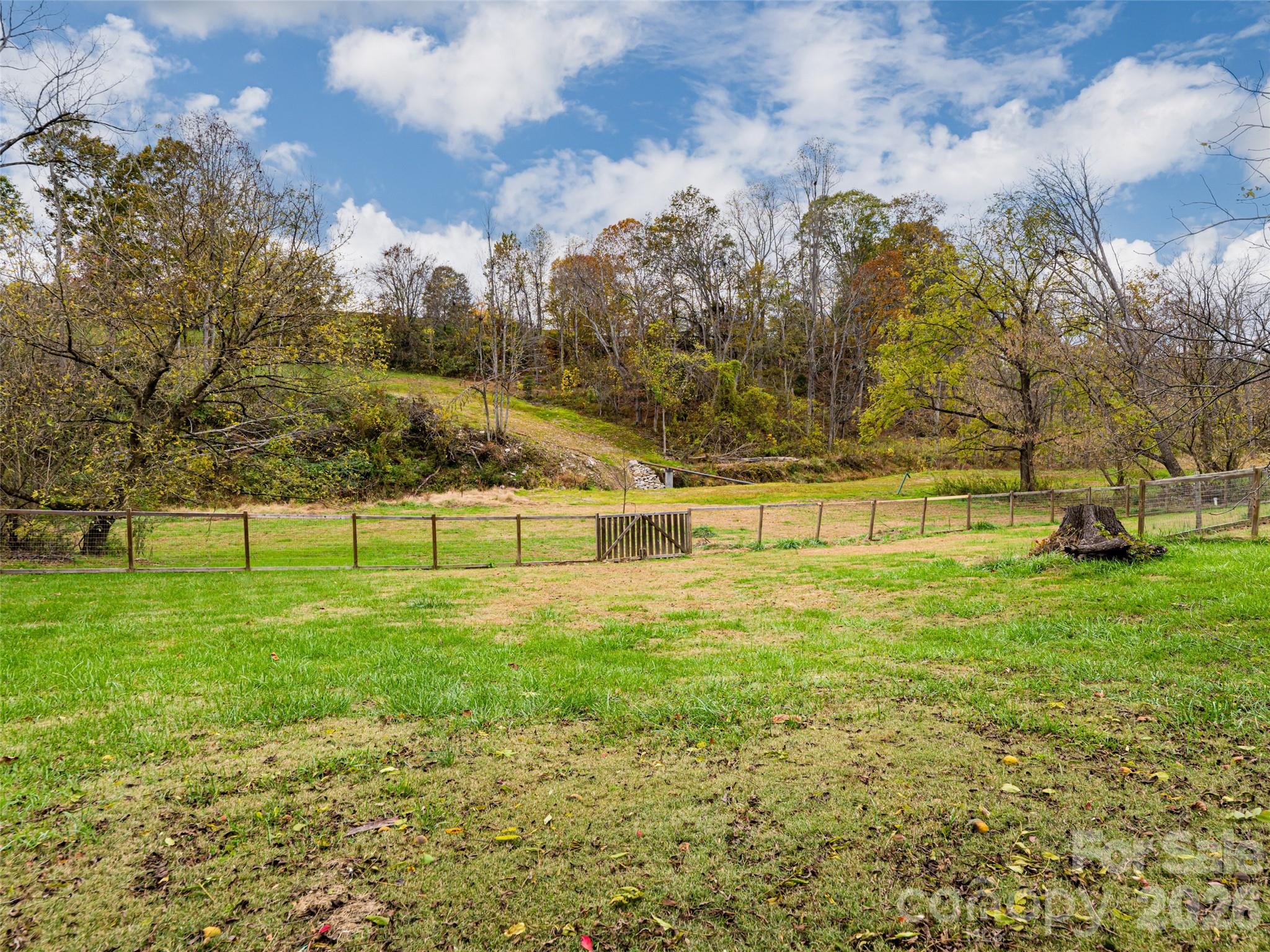 65 Banks Town Road Weaverville, NC 28787 - Photo 5 of 48