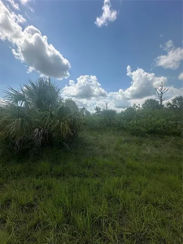 a view of a big yard with lots of green space and mountain view