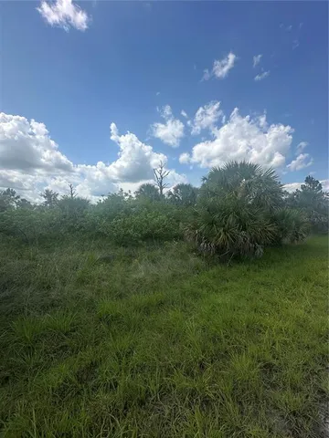 a view of a green yard