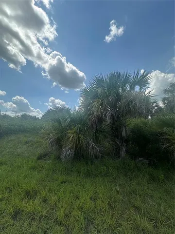 a view of a big yard
