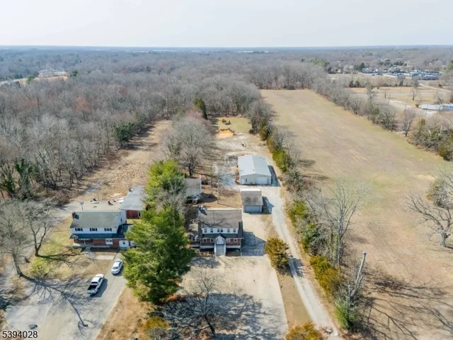 a view of a dry yard with trees