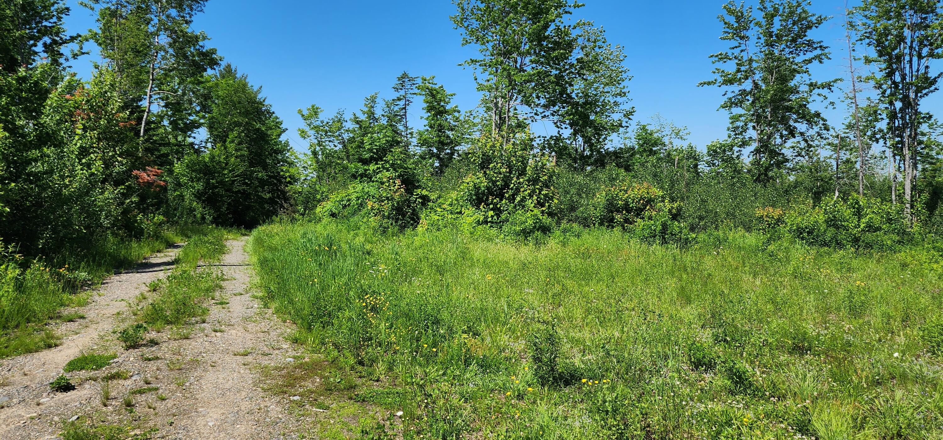 6 Off Hemore Road Houlton, ME 04730 - Photo 6 of 12 20230623_142433