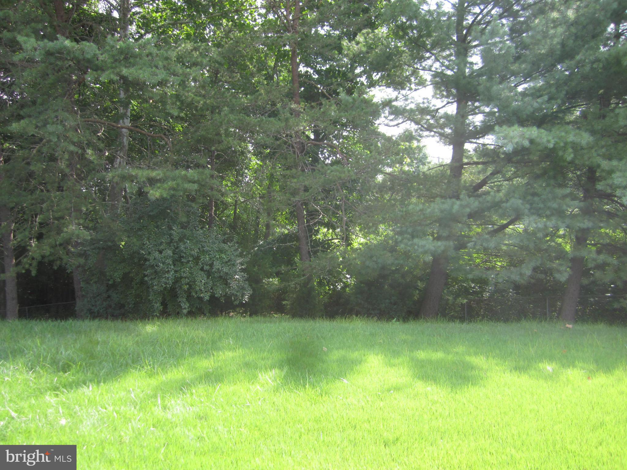 129 Choptank Road Stafford, VA 22556 - Photo 12 of 16 Tree-Lined Backyard
