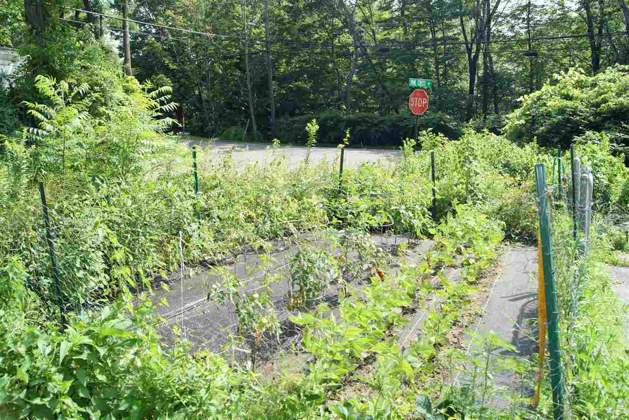 519 North Shore Road, Unit 3 Chesterfield, NH 03443 - Photo 20 of 25
