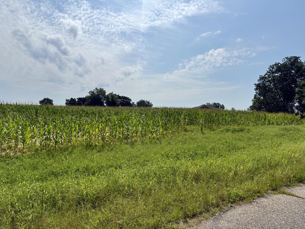 3.5-acres Liberty Road Ashford, AL 36312 - Photo 6 of 12 Gallery Image 6